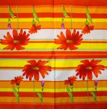 348 Daisies - 3-ply - CS